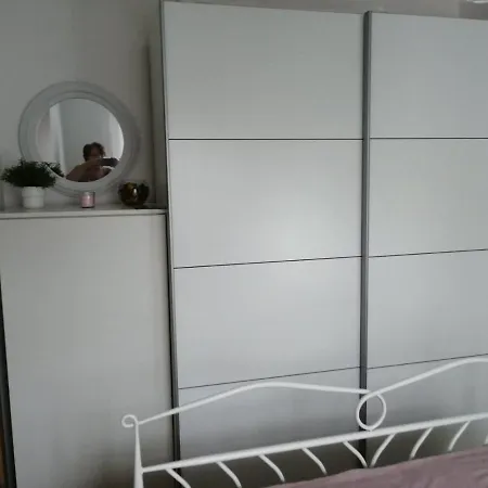 Spring Flower Novi Sad