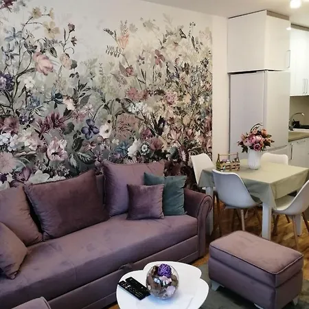 Spring Flower * Novi Sad