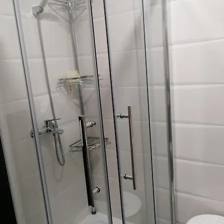 Spring Flower Daire *