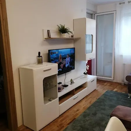 Spring Flower * Novi Sad