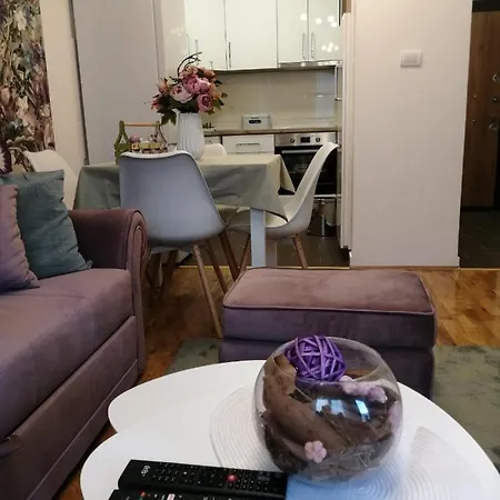 Daire Spring Flower *