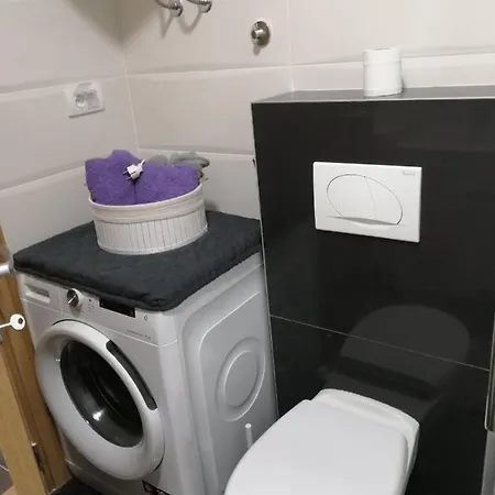 아파트 Spring Flower 노비사드