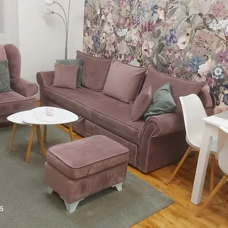 Spring Flower Novi Sad