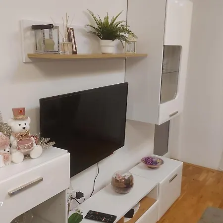 Daire Spring Flower *