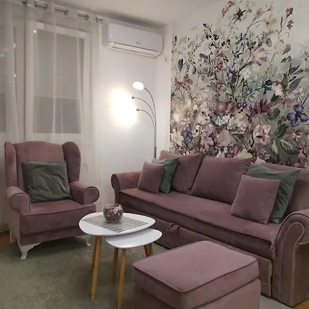 Spring Flower Apartment Novi Sad