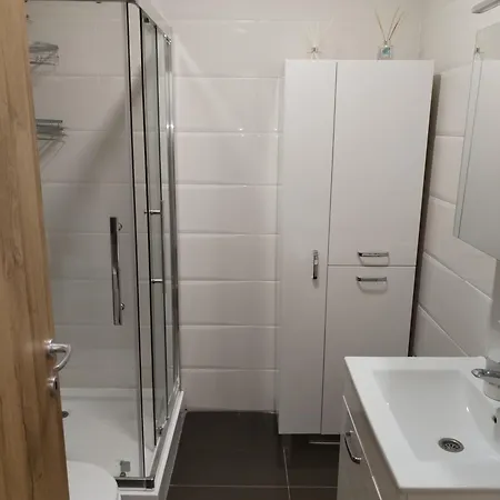 Daire Spring Flower Novi Sad