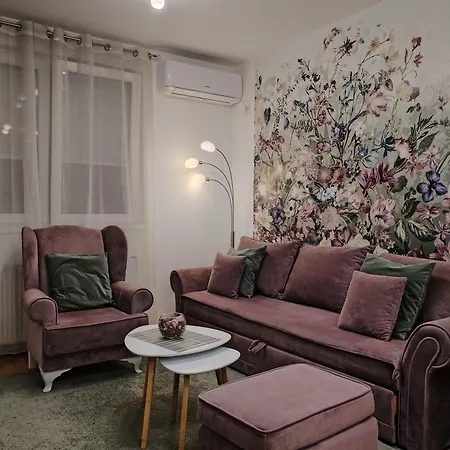 Spring Flower 노비사드