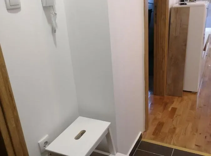 Apartment Spring Flower *