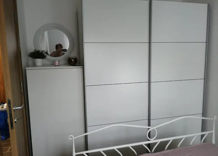 Spring Flower Novi Sad