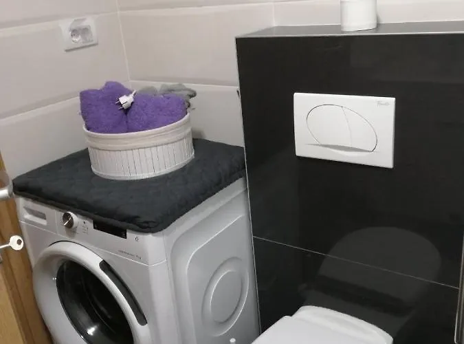 Apartment Spring Flower Novi Sad