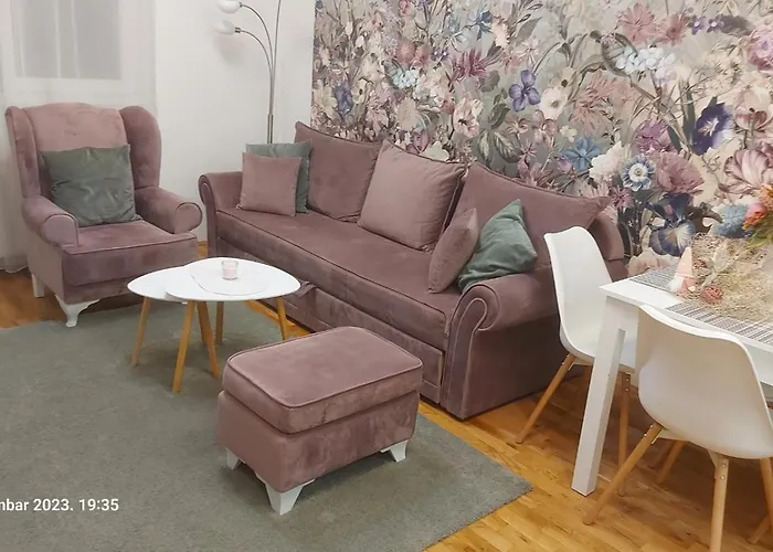 Spring Flower Novi Sad