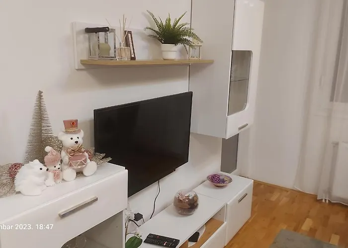 Apartment Spring Flower *